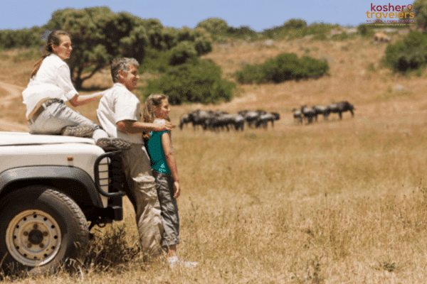 kosher safari, Kosher Safaris: Connecting with Nature and Culture