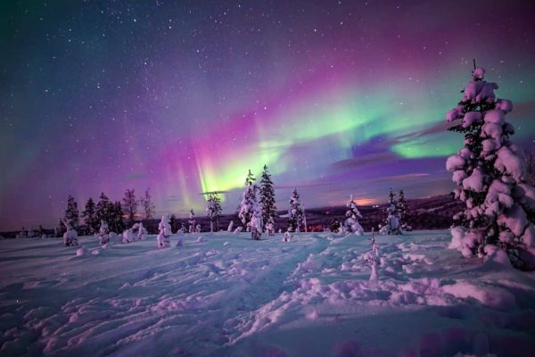 Northern-Lights-Wilderness-Tour-with-Professional-Camera-6-1080x675